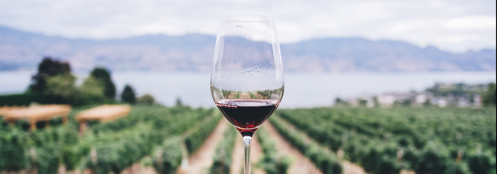 Winery Merchant Processing Services